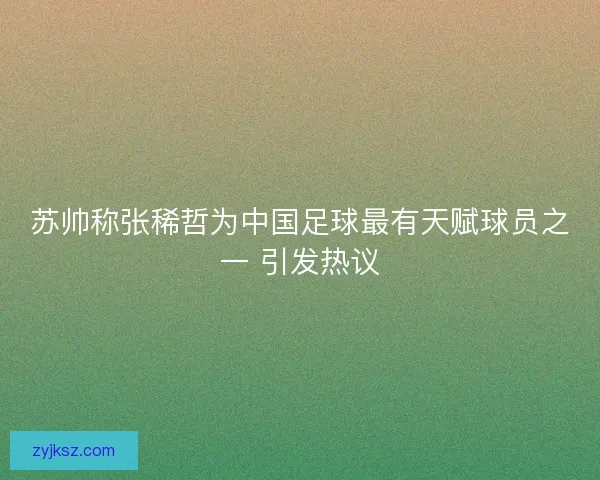 苏帅称张稀哲为中国足球最有天赋球员之一 引发热议