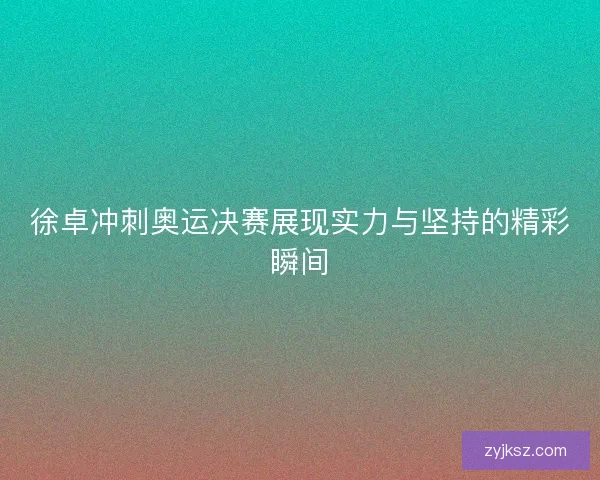徐卓冲刺奥运决赛展现实力与坚持的精彩瞬间